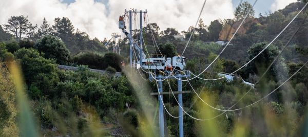 Fibre Reinforced Polymer (FRP) H-frames in Dome Valley, New Zealand.