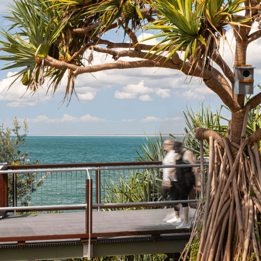 Caloundra Headland Boardwalk 1 (1)