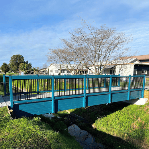 Pedestrian Bridge Solutions 2