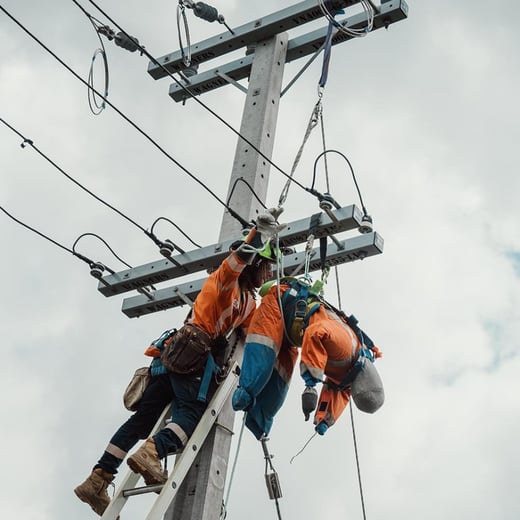 ANZ linemen to make debut at International Rodeo