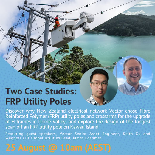 Two Case Studies: FRP Utility Poles
